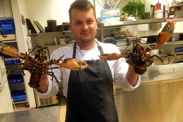 Кувар на северу: Норвешка му суђена